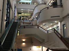 -香港大学