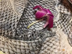 -大龙辣火锅·龙虾·烧烤(湖滨新天地店)