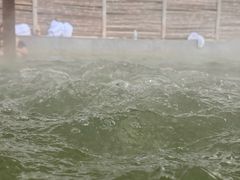 -春晖园度假酒店温泉