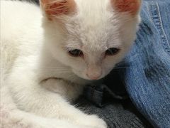 -佳雯宠物医院(金华南路分院)