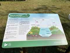 -福田红树林生态公园