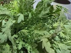 -蜀九香火锅(彩虹店)