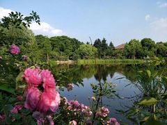 -长广溪湿地公园
