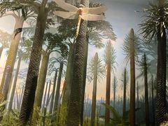 -湖南省地质博物馆