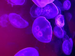 -沈阳海洋探索中心