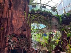 -正佳雨林生态植物园