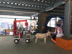 -泉州海丝野生动物世界