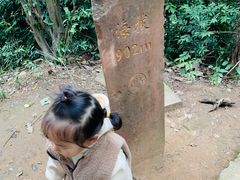 -凤栖山