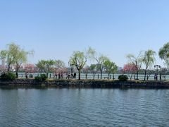-无锡蠡湖国家湿地公园-蠡园