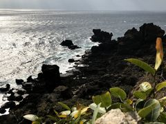 -鹅銮鼻公园