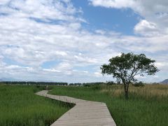 -野鸭湖国家湿地公园