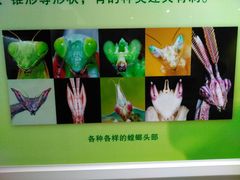 -上海昆虫博物馆