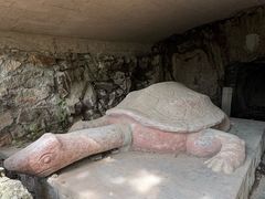 -上海佘山国家森林公园天马山园