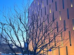 -中国宋庆龄青少年科技文化交流中心