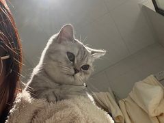 -派特宠物医院(圆融广场店)