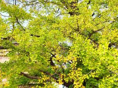 -北京石刻艺术博物馆(五塔寺)
