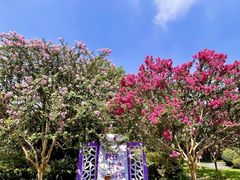 -杭州城北体育公园