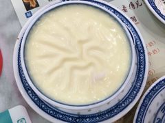 招牌双皮奶-捷信牛奶甜品世家(柳巷店)