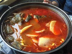 酸汤鱼-弘烨 贵州酸汤 鱼火锅(东财店)