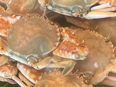 -火舞泰·泰式海鲜火锅餐厅(世纪城店)