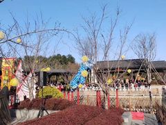 -雅达·阳羡溪山小镇中心