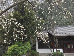 -团城山公园