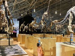 -世界恐龙谷景区