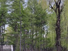 -长春市南湖公园