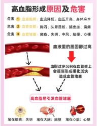 -Fundi张玉珊修身堂·indiba·BTL科技瘦身