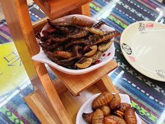 -昆虫窝子·特色云南菜(拓东路总店)