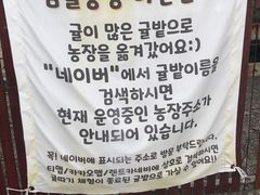 -柑橘农场