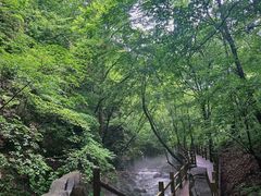 -关门山森林公园