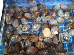 -江杨农产品批发市场