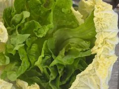 -探窝·竹笙椰子鸡(杨箕店)