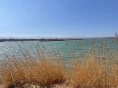 -野鸭湖国家湿地公园