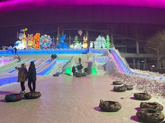 -沈阳奥体冰雪嘉年华