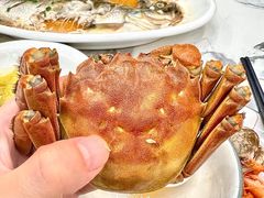-蟹天蟹地农家菜·阳澄湖大闸蟹(浅水湾店)