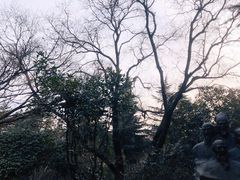 -西安市纺织公园