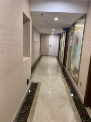 -碧莲盛·不剃发植发