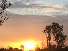 -白鹭湾湿地公园