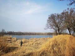 -野鸭湖国家湿地公园