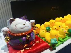 -wow舞蹈培训