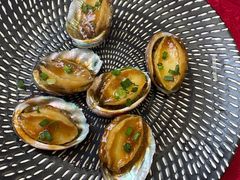 陈皮丝蒸大连鲍-百丈园龙江啫神馆