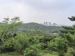-北岭山森林公园