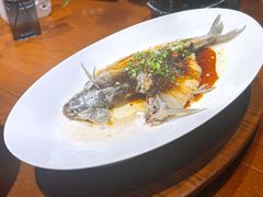 -云境生态园(高新旗舰店)