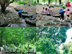 -成都市活水公园
