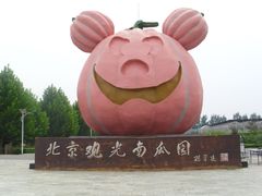 -观光南瓜园