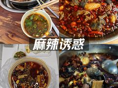 -黑竹香鸡(营和巷店)