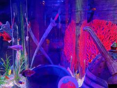 -沈阳海洋探索中心