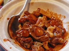 -侨美·唐荔园·40年地道粤菜